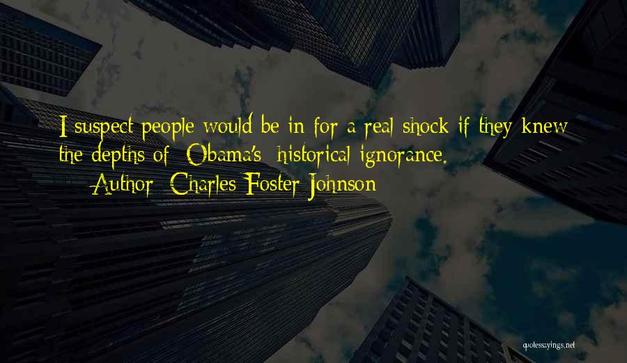 Charles Foster Johnson Quotes 1761027