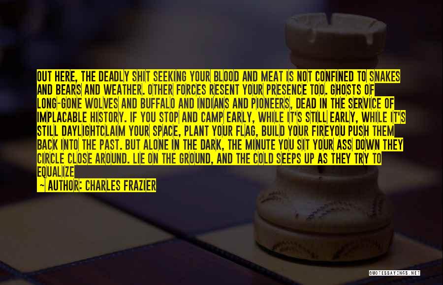 Charles Frazier Quotes 1162614