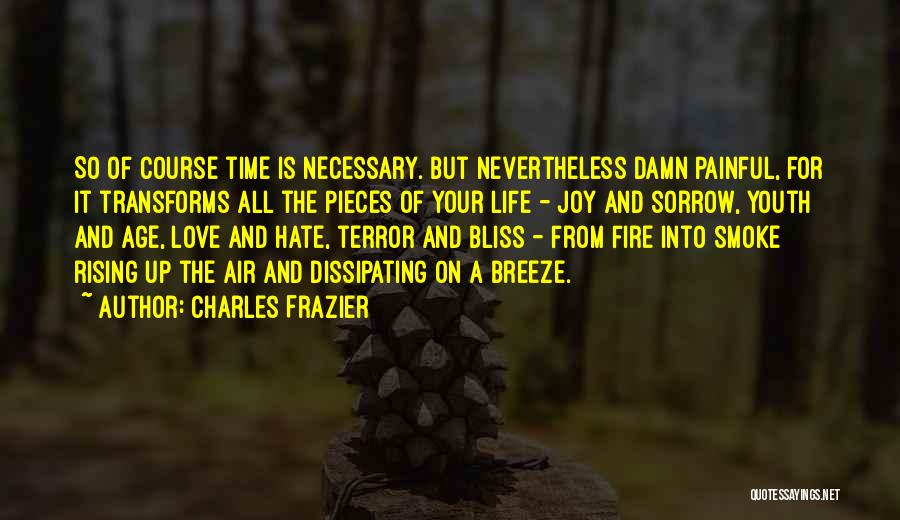 Charles Frazier Quotes 2260090