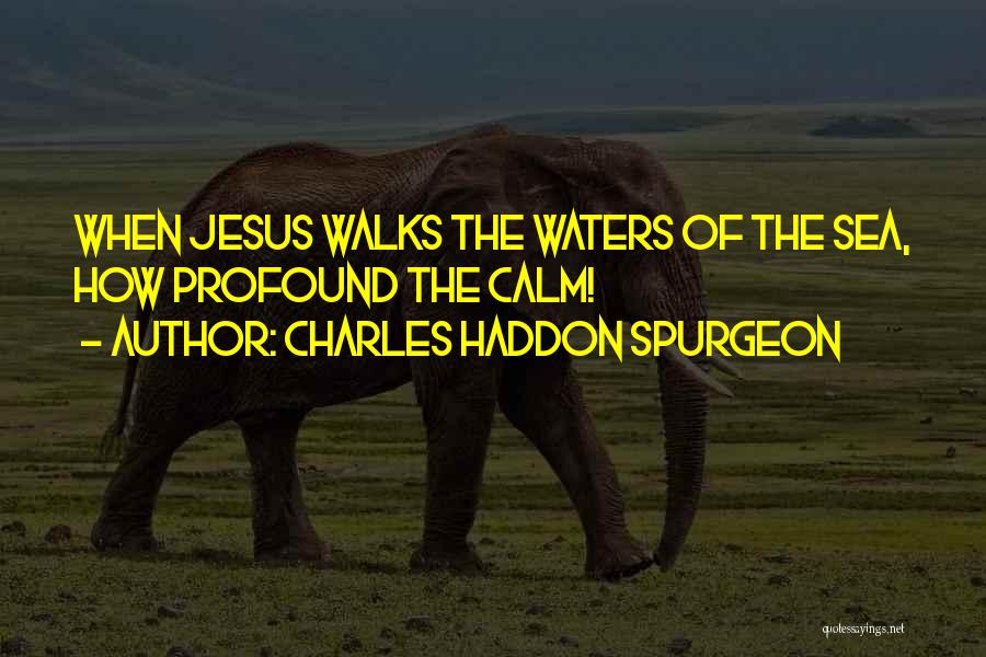 Charles Haddon Spurgeon Quotes 2035537