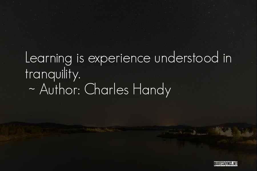 Charles Handy Quotes 1483438