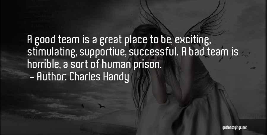 Charles Handy Quotes 1647290
