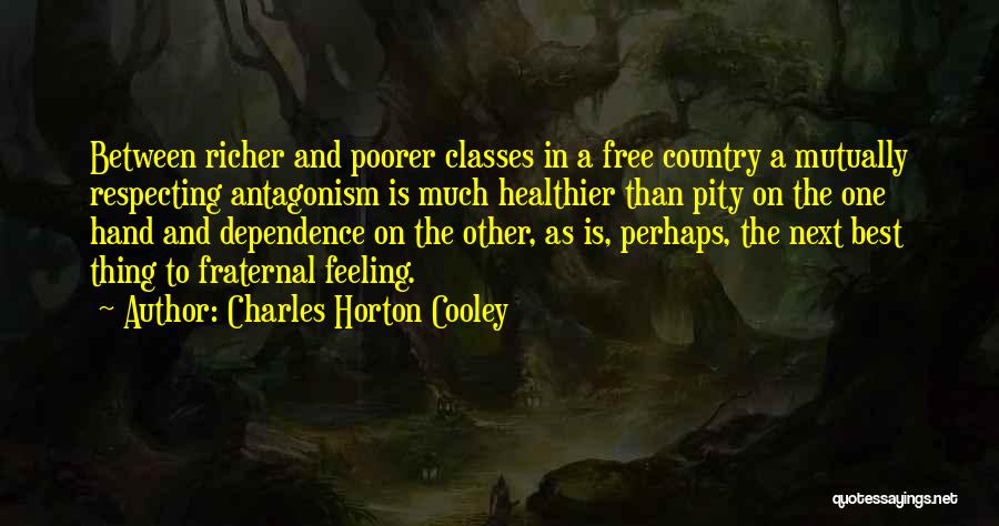 Charles Horton Cooley Quotes 1508350