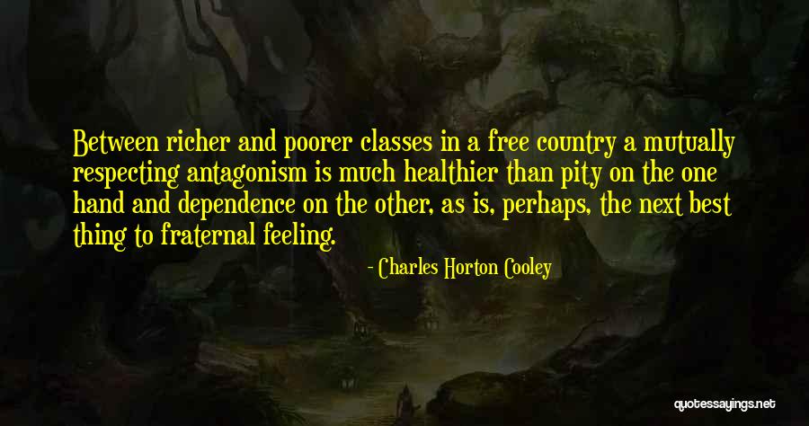 Charles Horton Cooley Quotes 1508350