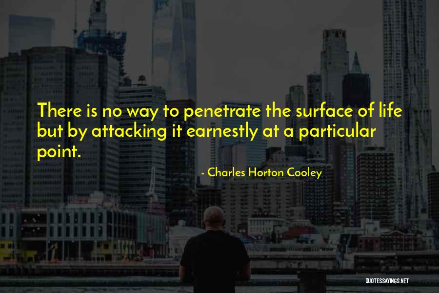 Charles Horton Cooley Quotes 1514836