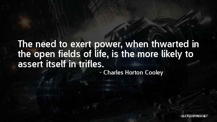 Charles Horton Cooley Quotes 169073