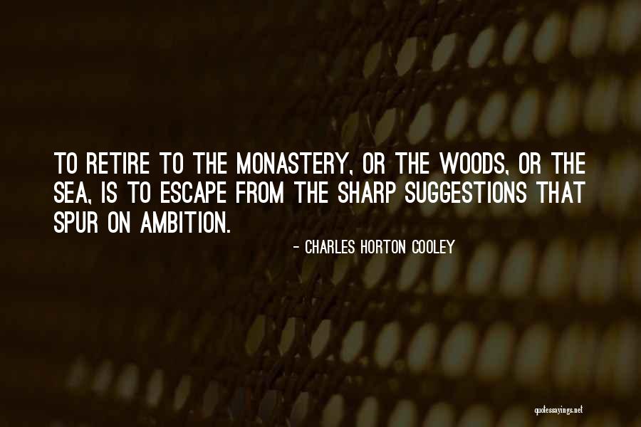 Charles Horton Cooley Quotes 1802561