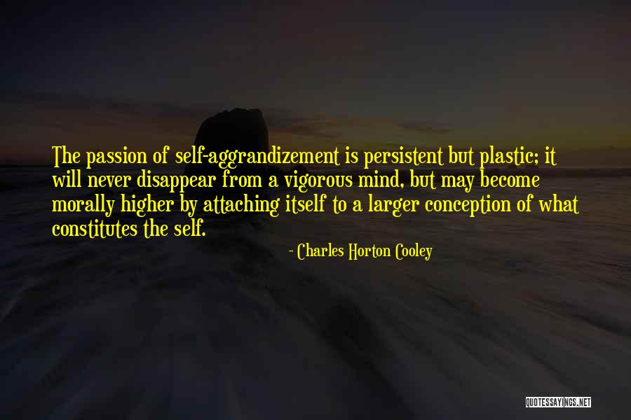 Charles Horton Cooley Quotes 507554