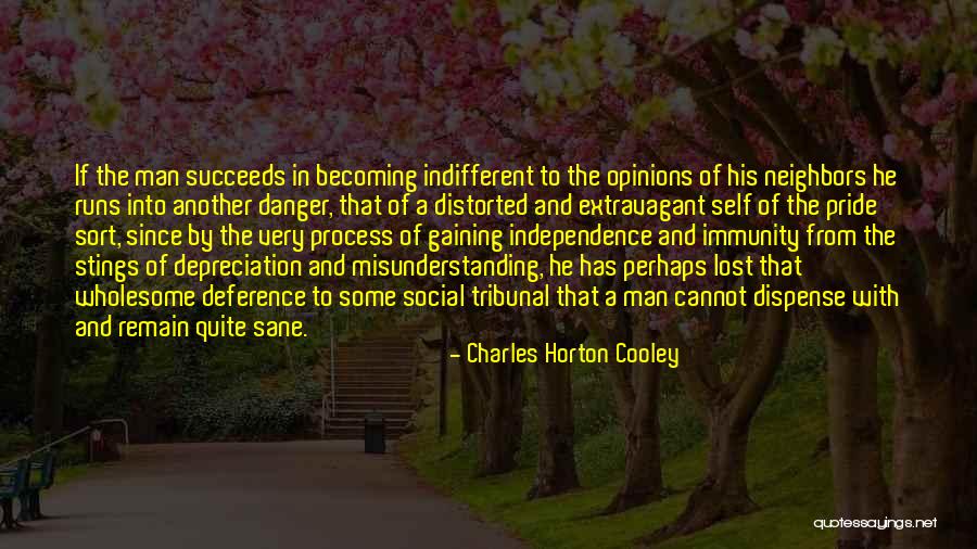 Charles Horton Cooley Quotes 676208