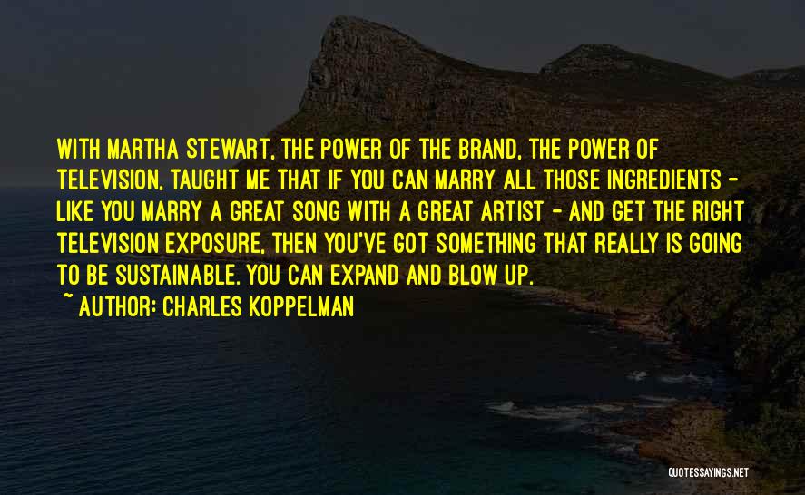 Charles Koppelman Quotes 120010