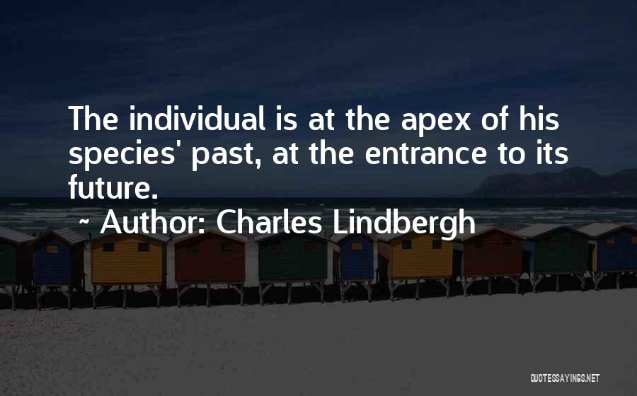 Charles Lindbergh Quotes 1161030