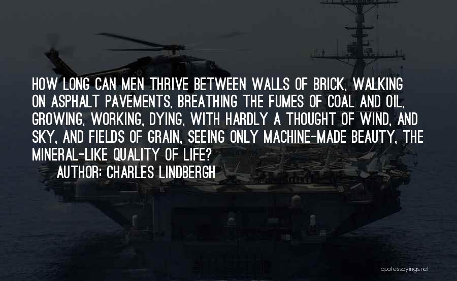 Charles Lindbergh Quotes 1225930