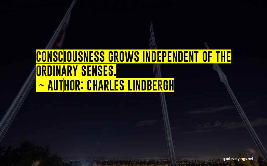 Charles Lindbergh Quotes 2116371