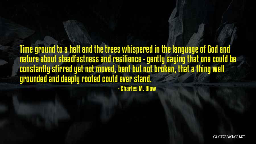 Charles M. Blow Quotes 1528903