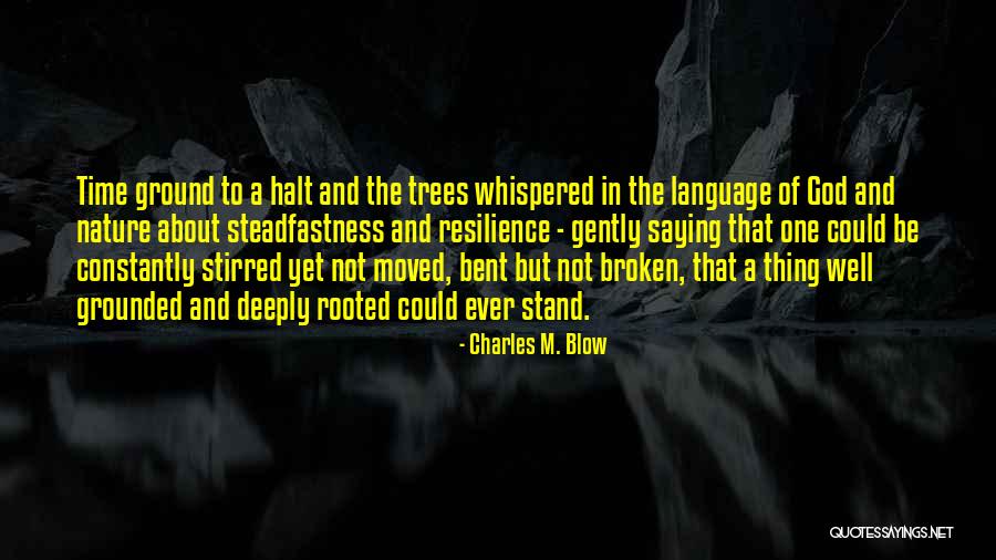 Charles M. Blow Quotes 1528903