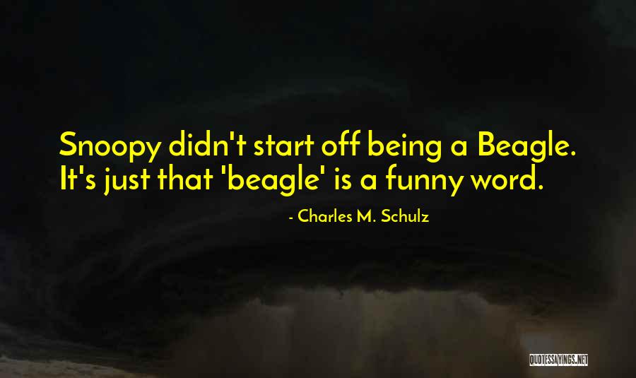 Charles M. Schulz Quotes 1067063