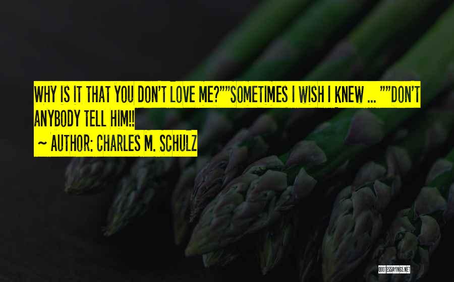 Charles M. Schulz Quotes 1693889