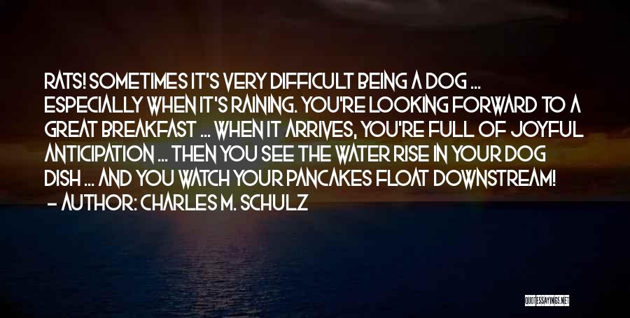 Charles M. Schulz Quotes 462422