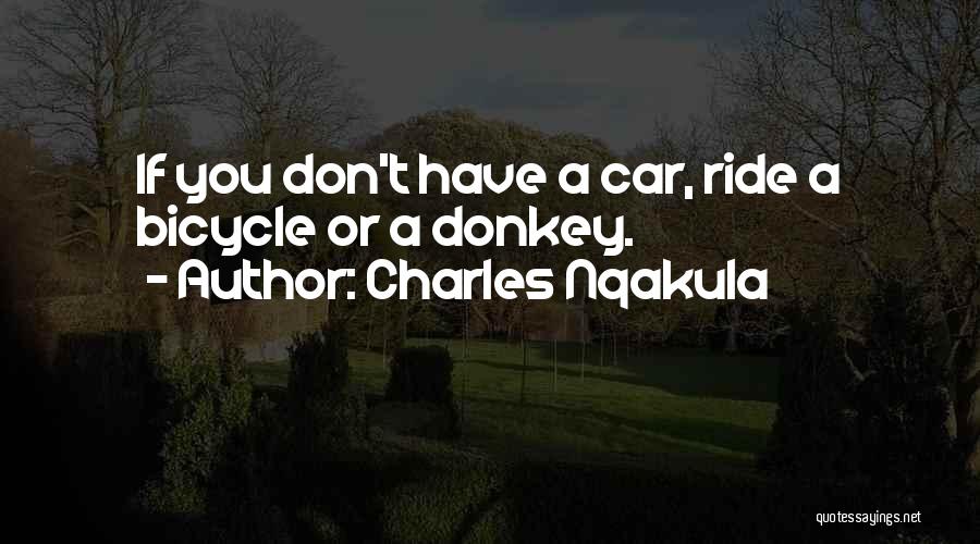 Charles Nqakula Quotes 1775494