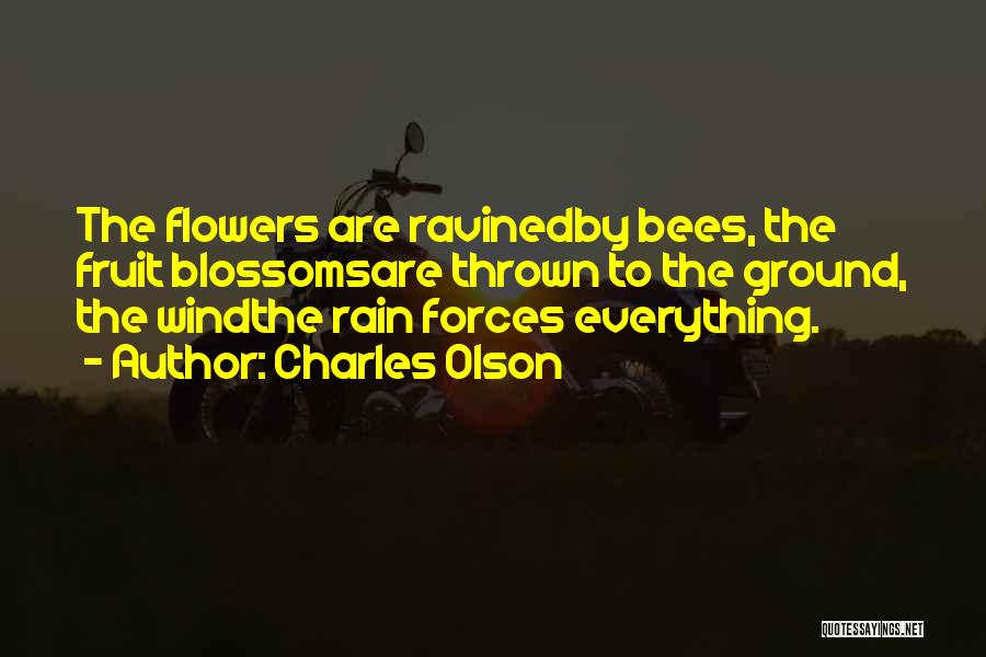 Charles Olson Quotes 1543239