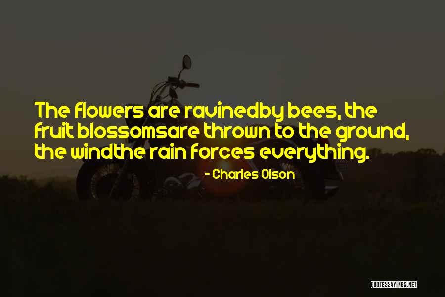 Charles Olson Quotes 1543239 Charles Olson Quotes 1543239