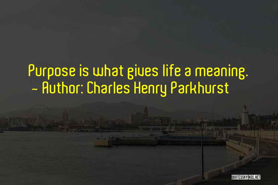 Charles Parkhurst Quotes By Charles Henry Parkhurst