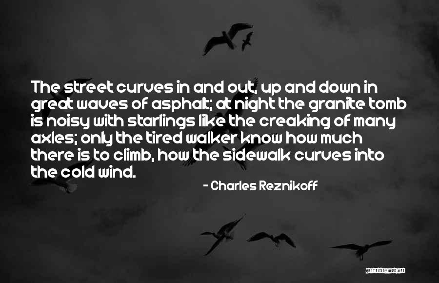 Charles Reznikoff Quotes 691226