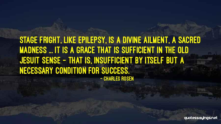 Charles Rosen Quotes 1769799 Charles Rosen Quotes 1769799