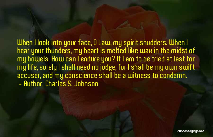 Charles S. Johnson Quotes 2060931