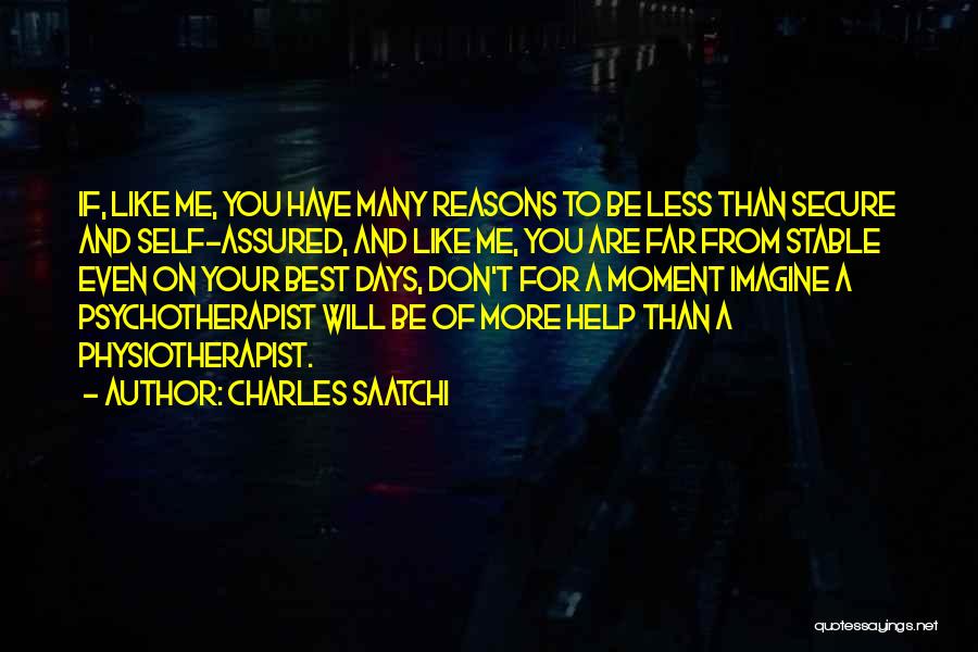 Charles Saatchi Quotes 1876224