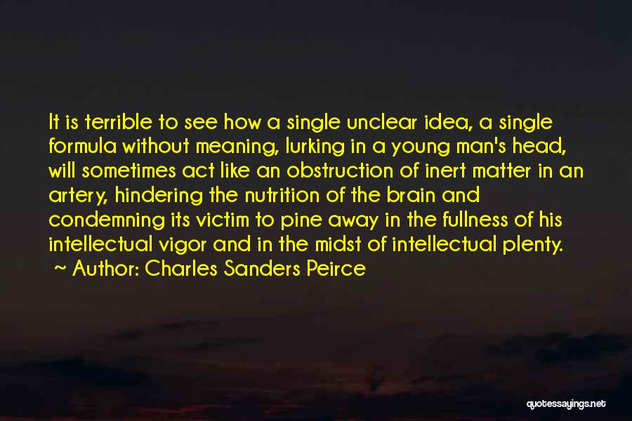 Charles Sanders Peirce Quotes 140658