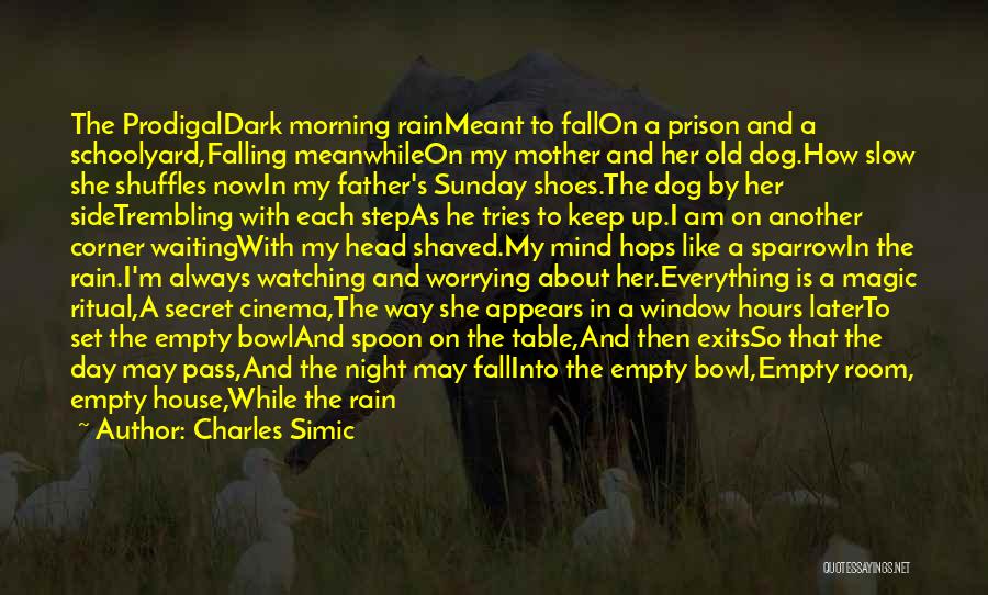 Charles Simic Quotes 1001305