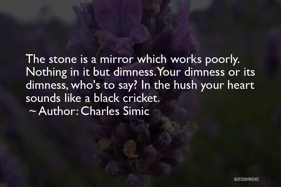 Charles Simic Quotes 1562852
