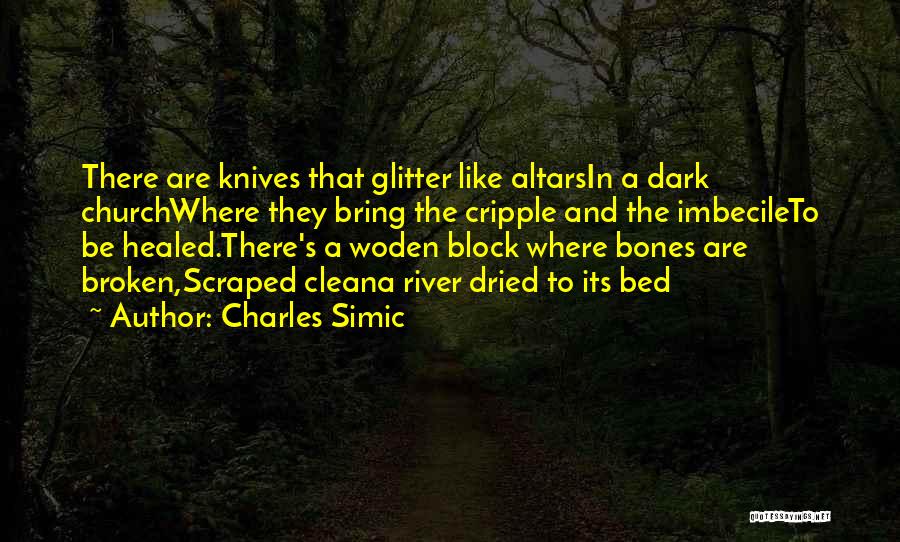 Charles Simic Quotes 1699811