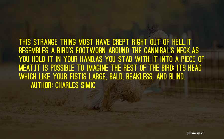 Charles Simic Quotes 2078417