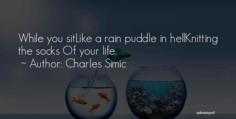 Charles Simic Quotes 223644
