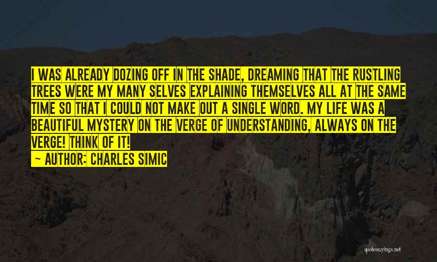 Charles Simic Quotes 500853