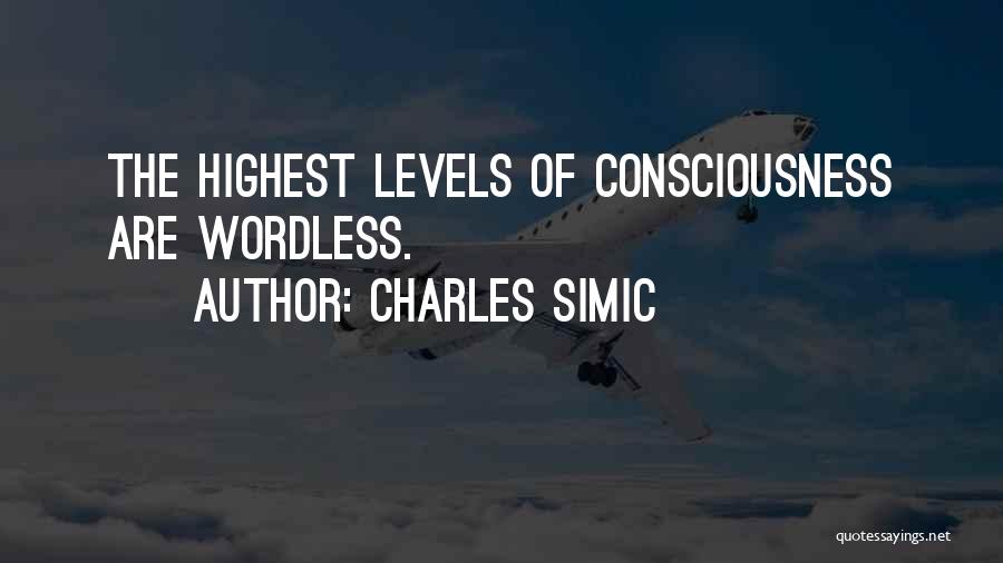 Charles Simic Quotes 758758