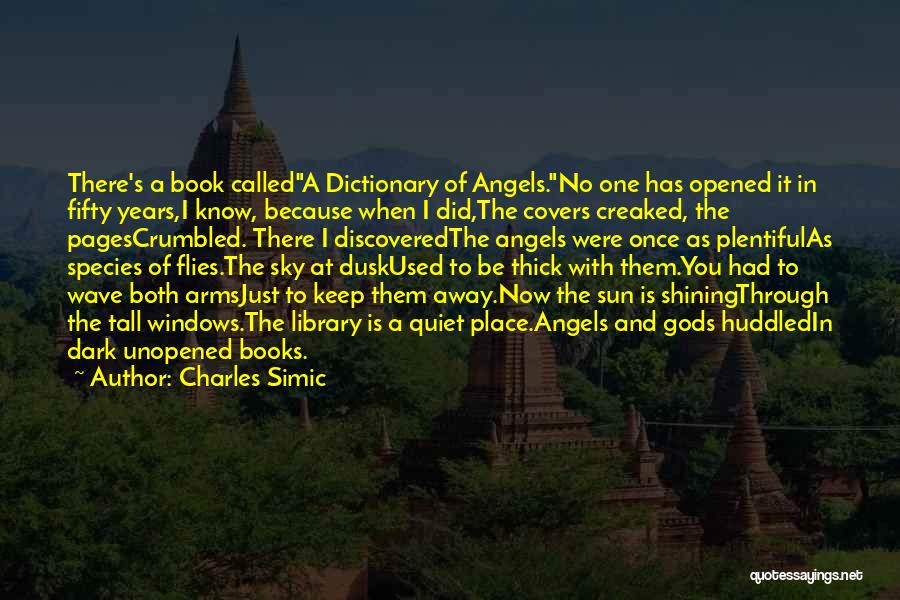 Charles Simic Quotes 913695