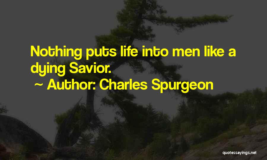 Charles Spurgeon Quotes 1834091