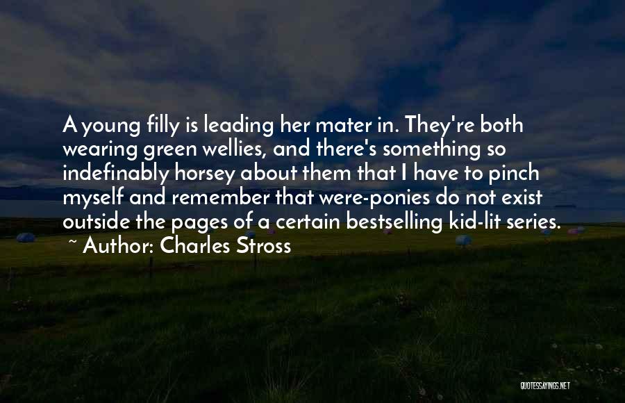 Charles Stross Quotes 740259