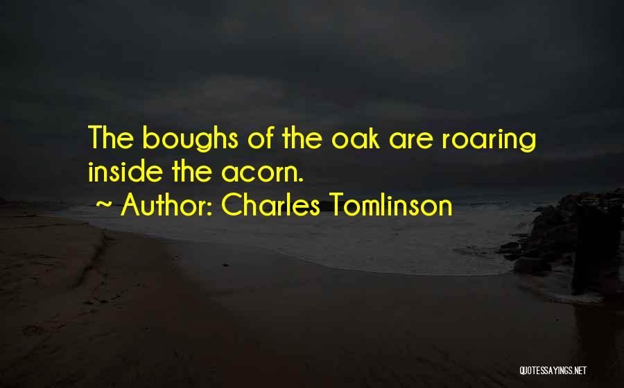Charles Tomlinson Quotes 1914366