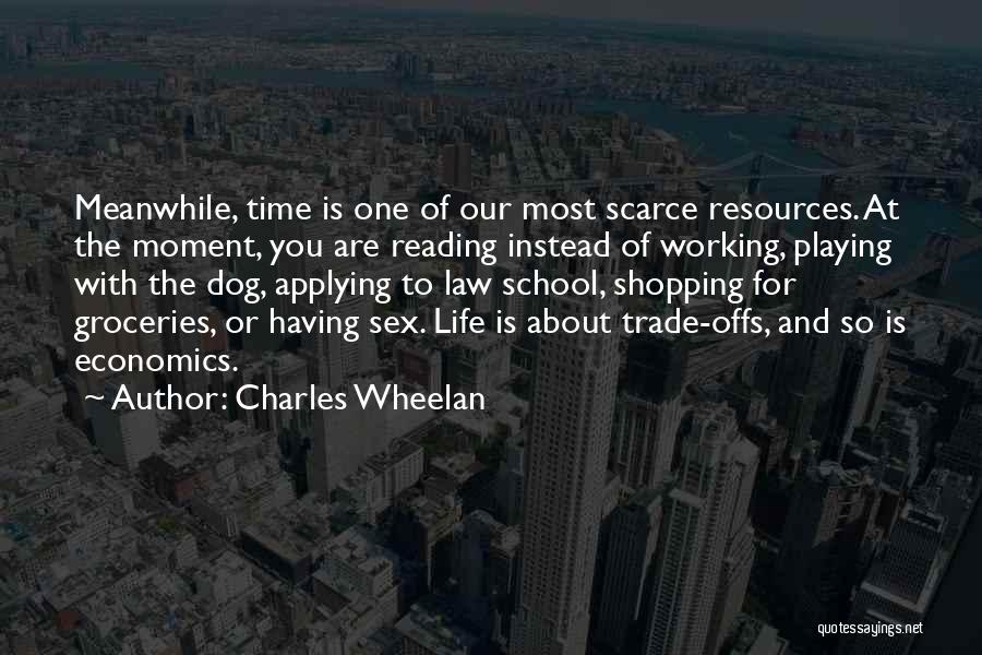 Charles Wheelan Quotes 360855