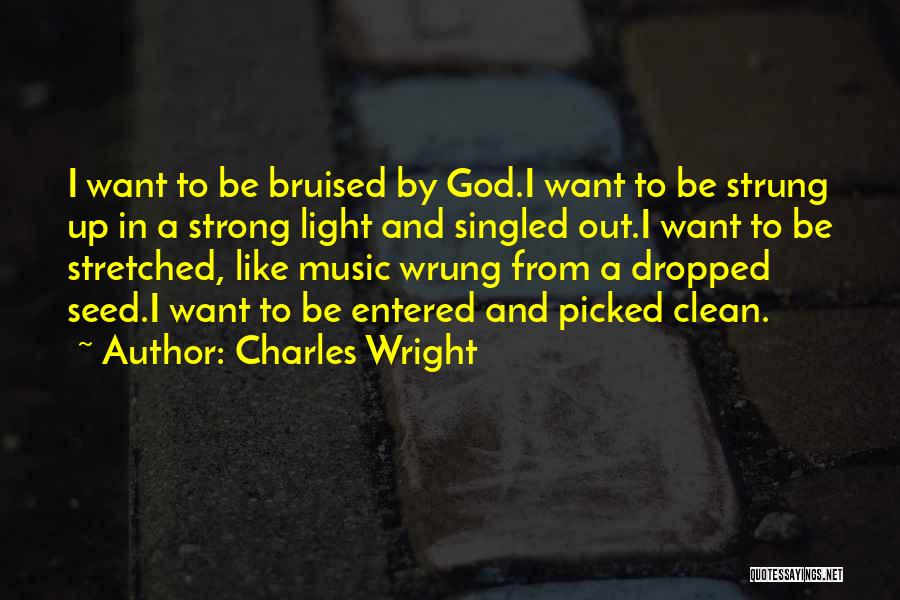 Charles Wright Quotes 1900534