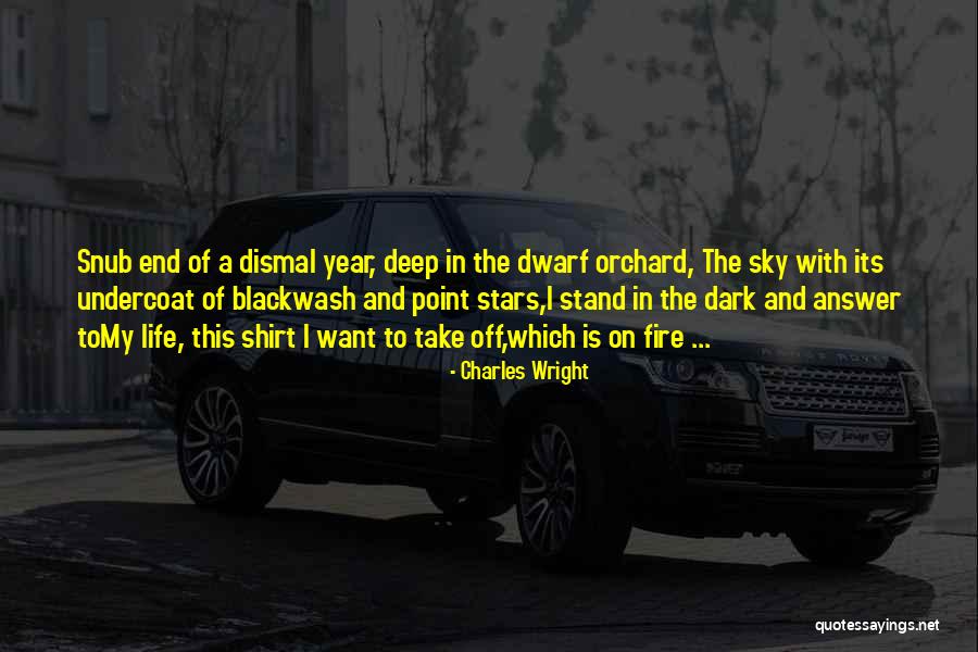 Charles Wright Quotes 1936178 Charles Wright Quotes 1936178