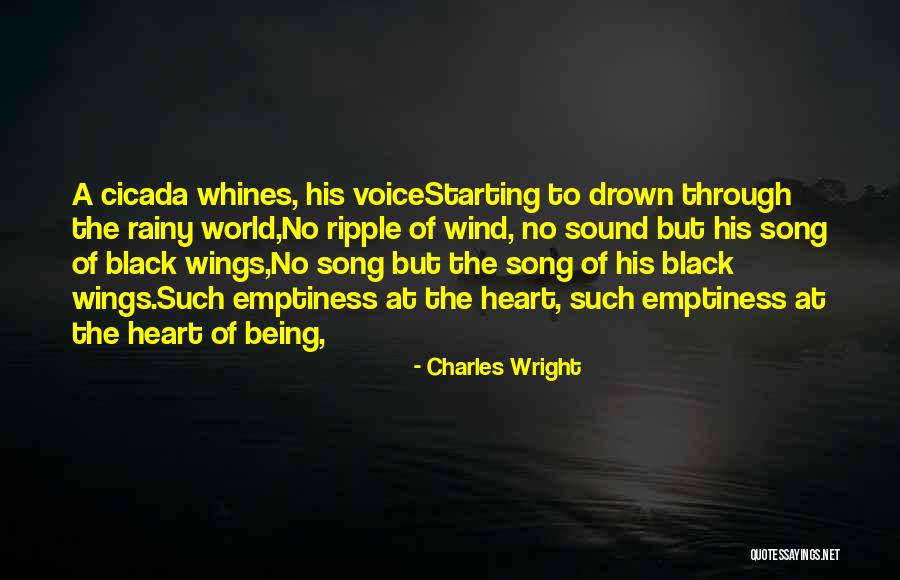 Charles Wright Quotes 2009120