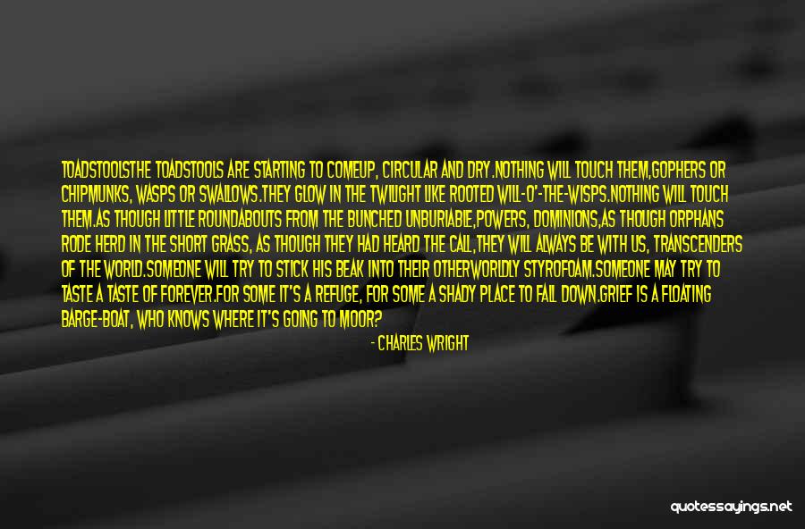 Charles Wright Quotes 354496 Charles Wright Quotes 354496