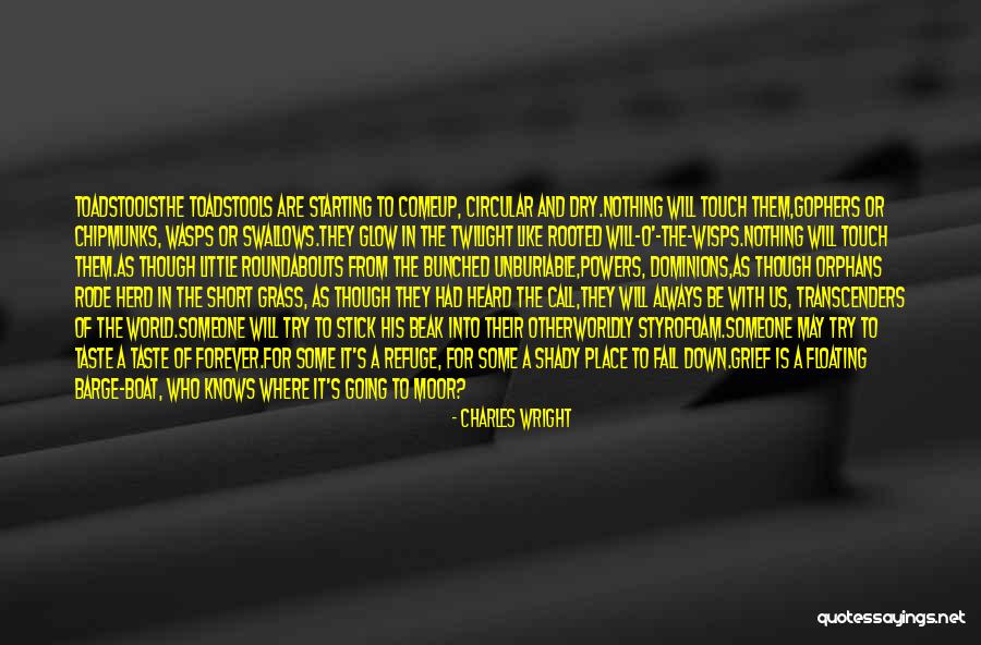 Charles Wright Quotes 354496