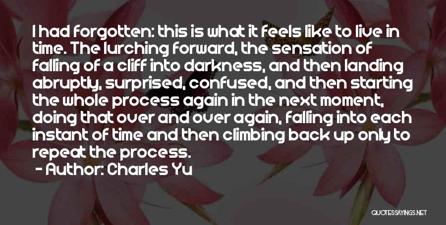 Charles Yu Quotes 745536