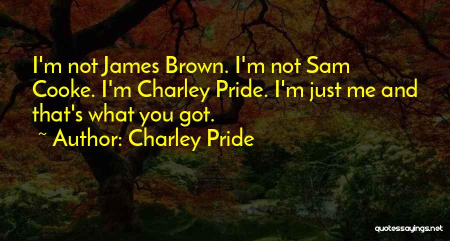 Charley Pride Quotes 461099